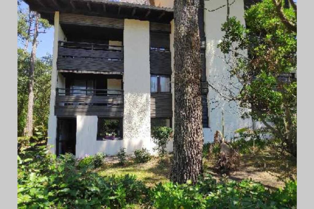 Appt Le Penon - Plages Commerces A Pied Apartment *